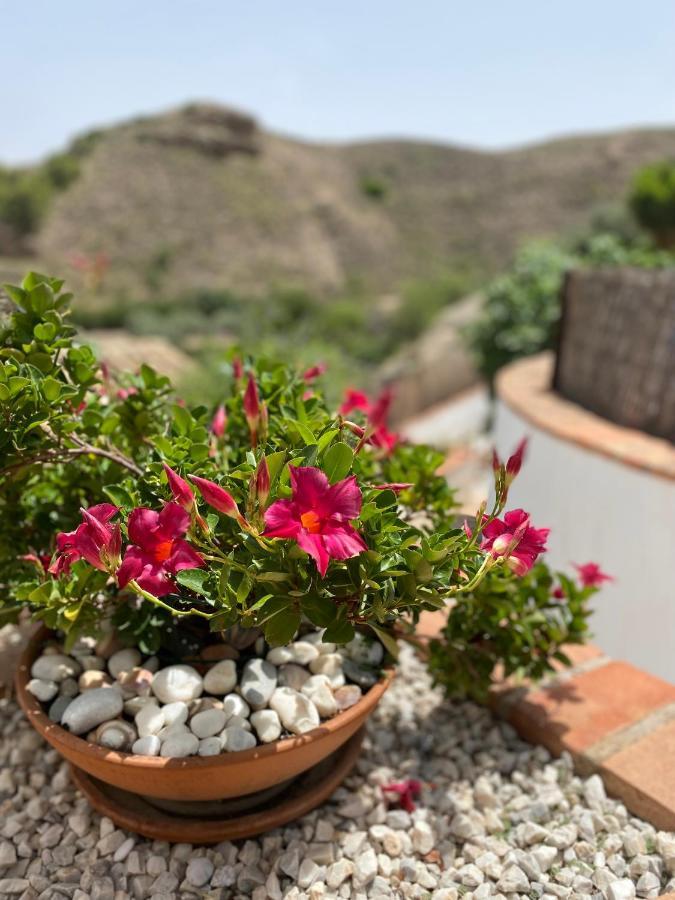 Apartament Cortijo Perejil, A Tranquil Mountain Escape & Private Pool Oria Zewnętrze zdjęcie