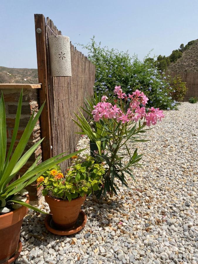 Apartament Cortijo Perejil, A Tranquil Mountain Escape & Private Pool Oria Zewnętrze zdjęcie