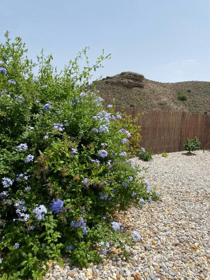 Apartament Cortijo Perejil, A Tranquil Mountain Escape & Private Pool Oria Zewnętrze zdjęcie