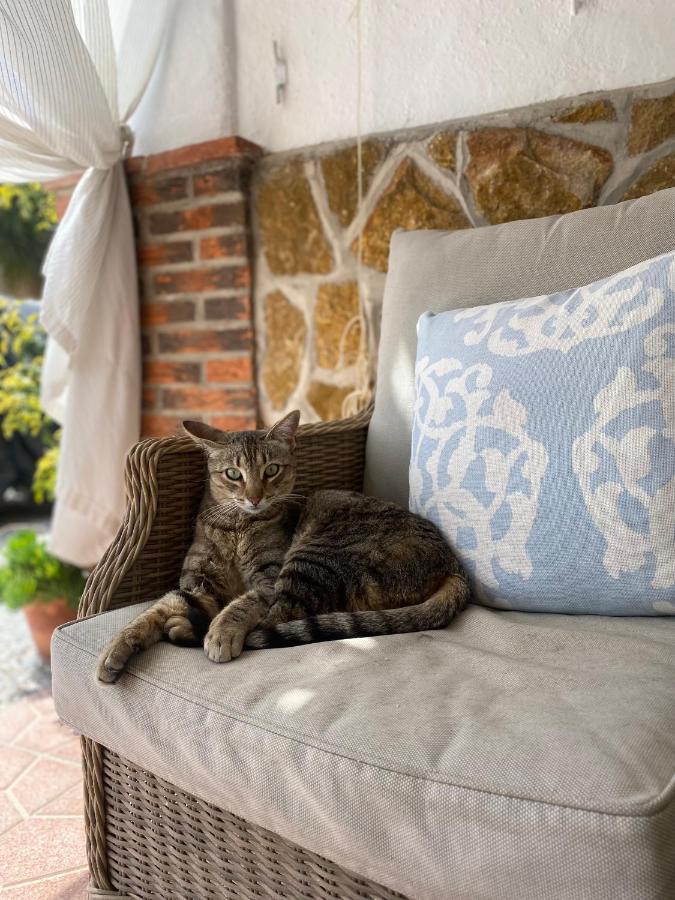 Apartament Cortijo Perejil, A Tranquil Mountain Escape & Private Pool Oria Zewnętrze zdjęcie